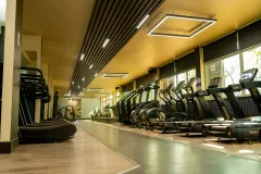 The Gym